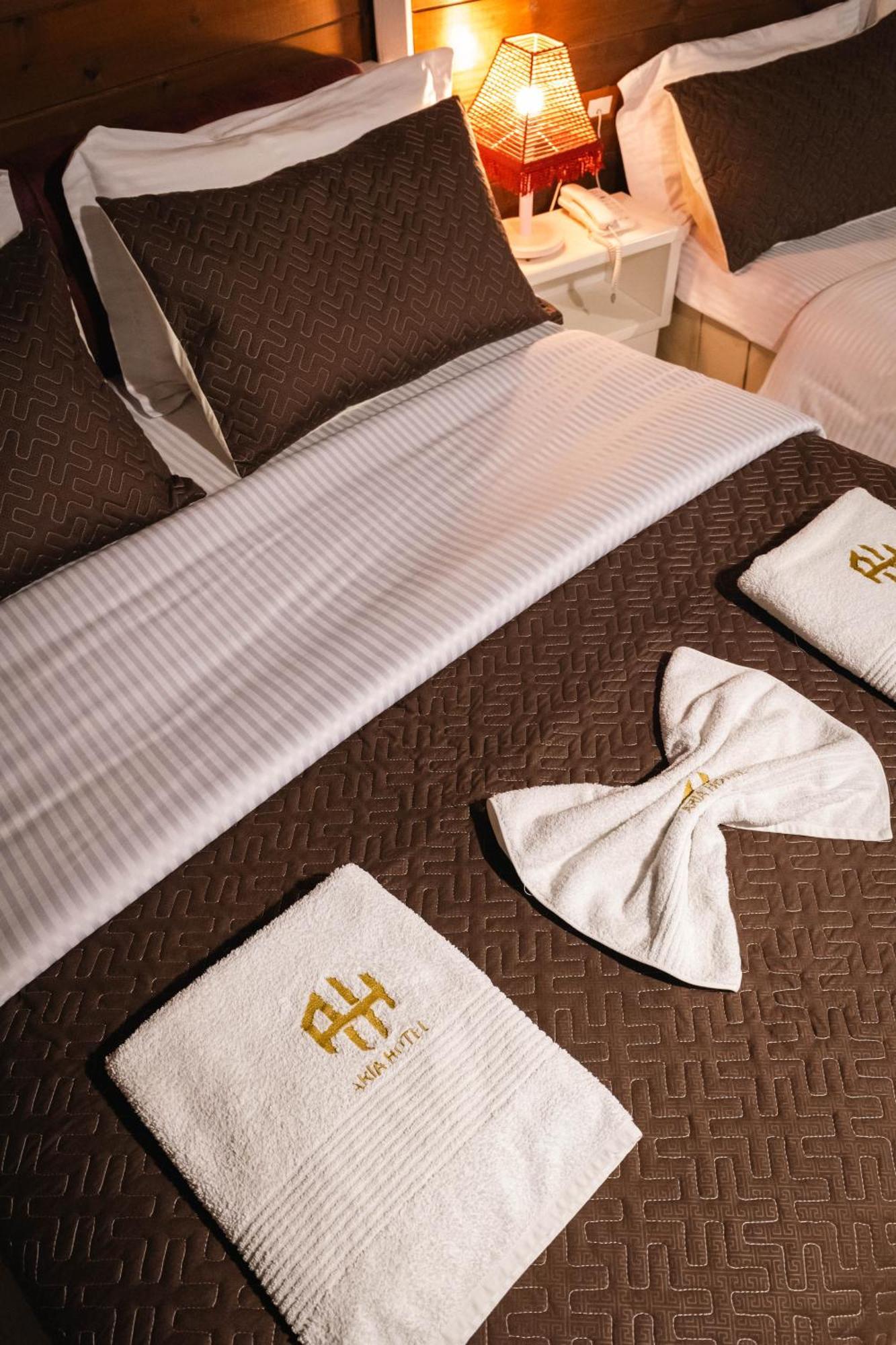 Hotel Aria